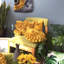  Housse et insert de coussin décoratif en tournesol Appliqued-717990370-717990373