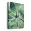 Green Tropical Succulent III - Photographie sur toile tendue-2104350866-2103798606