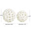 Jonali 2 Piece Orb Abstrac Sculpture Set