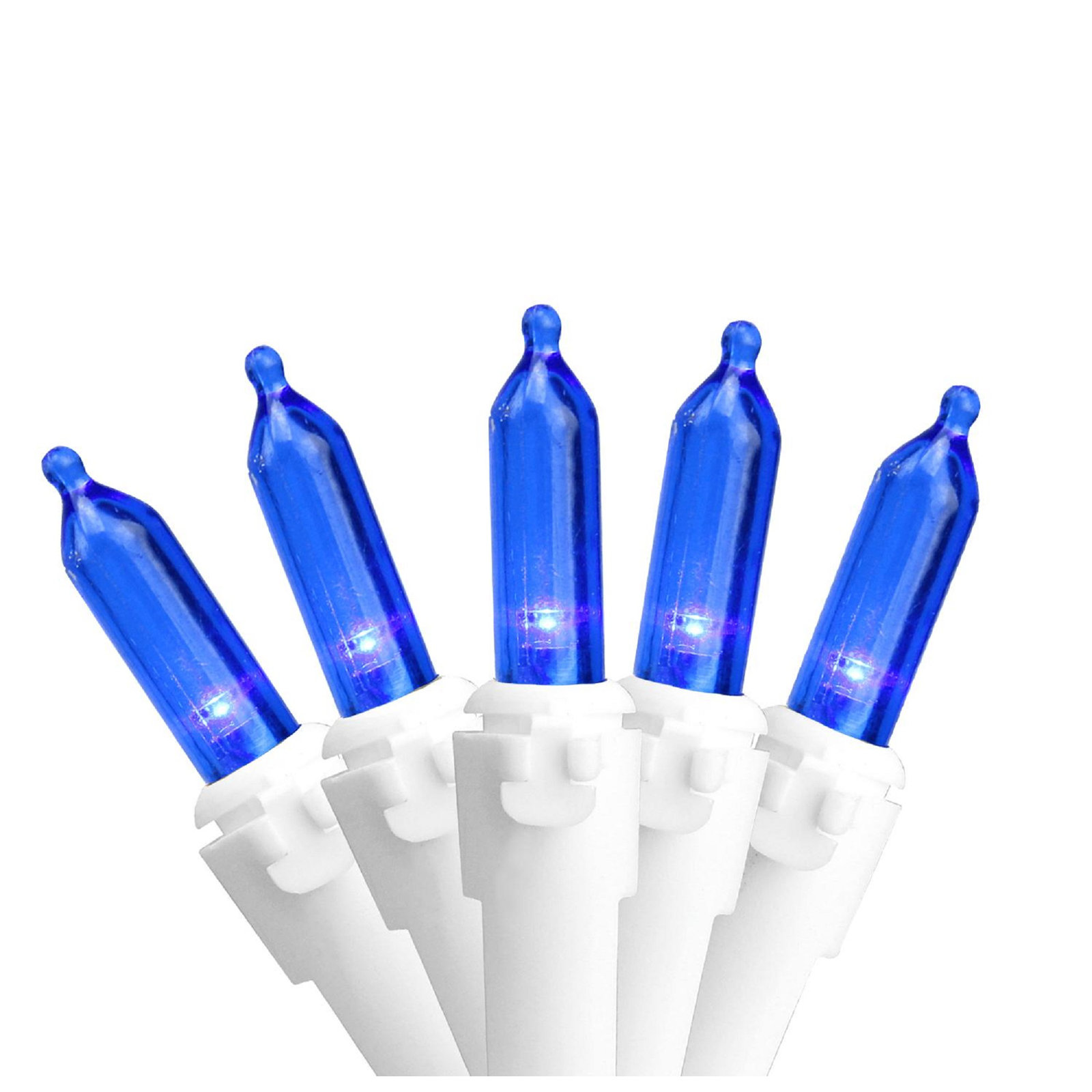 100-Light Warm LED Christmas String Lights, Blue/White, 50