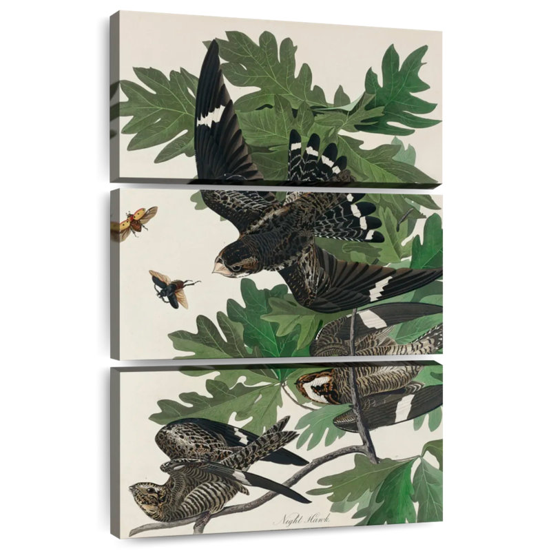 Brampt Night Hawk, 45" H x 28" W