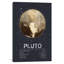" Pluto " by Tracie Andrews-20815400-72689612-72689623