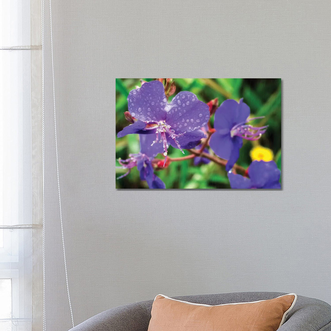 Rain by Glauco Meneghelli - Wrapped Canvas Gallery-Wrapped Canvas Giclée