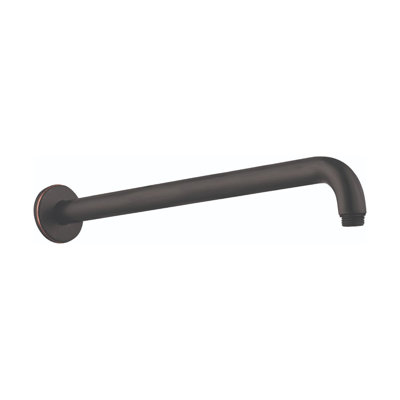 Hansgrohe Raindance 15-Inch Showerarm