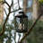 10.25'' Battery Powered Outdoor Lantern