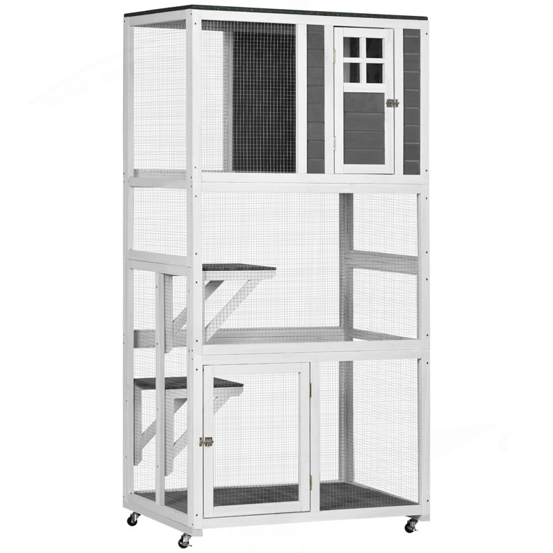 Maison d'extérieur pour chat avec plusieurs caractéristiques pour le confort et le divertissement félins, Gris / Blanc