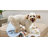 Willow Reversible Quilt Set-1444154806-1397553649