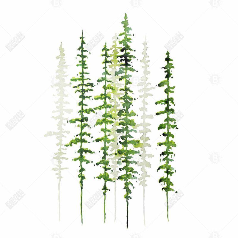 " Minimalist Trees "