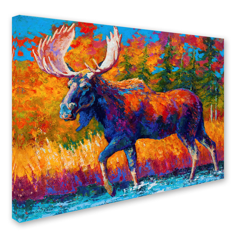 «Moose Encounter» par Kucera, reproduction sur toile tendue, H 18 po x l 24 po