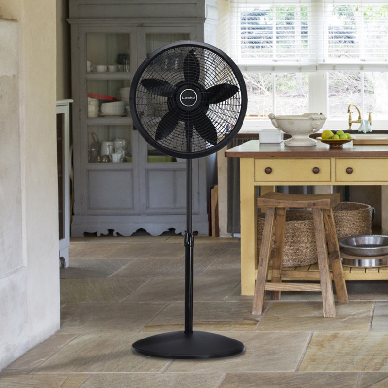 Lasko 18" Oscillating Pedestal/Standing Fan, Black