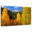 Alvord Pikes Peak en automne-107488841