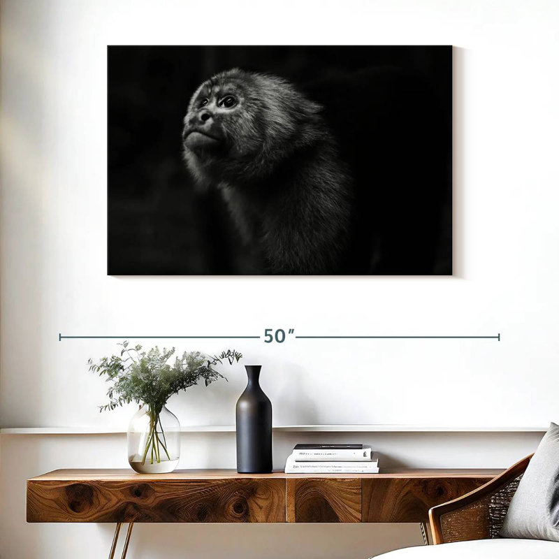 Brampt Capuchin Monkey, 26'' H x 39'' W