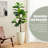 Dneisha Handmade Pot Planter-664212269