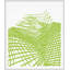 Lime Equation 2 Print by Meg Braff