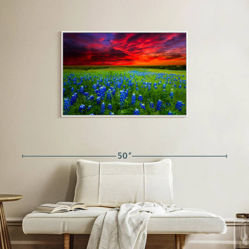 Bluebonnets au coucher du soleil I, Cadre flottant blanc, 37 po x 25 po