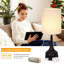 Lampes de chevet Red Barrel Studio® avec ports USB et prise de courant CA - Ensemble de 2 lampes pour chambre à coucher avec interrupteur à chaîne-2029527018