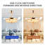 Ensemble de 47 lumières de ventilateur de plafond
