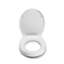 Ramor Raised 5cm Toilet Seat With Anti-bac