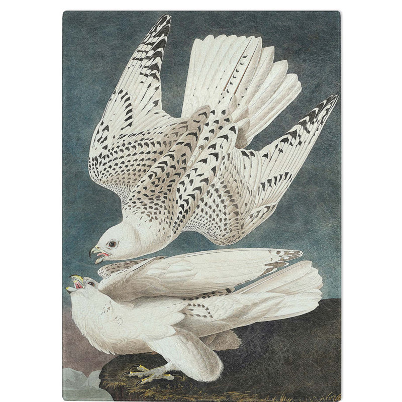 Tempered Glass Two Gyrfalcons by John James Audubon Chopping Board, 20 cm W x 28.5 cm L