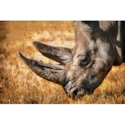Painted Rhino - Wrapped Canvas Painting