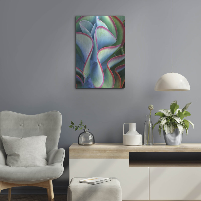 " Succulent VII " by Dennis Frates, 24" H x 16" W
