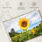 Harnek Golden Sunflower-111984301