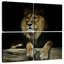 Lion impérial Brampt-109037736