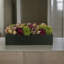 Assorted Sedum and Roses in Fiberstone Planter