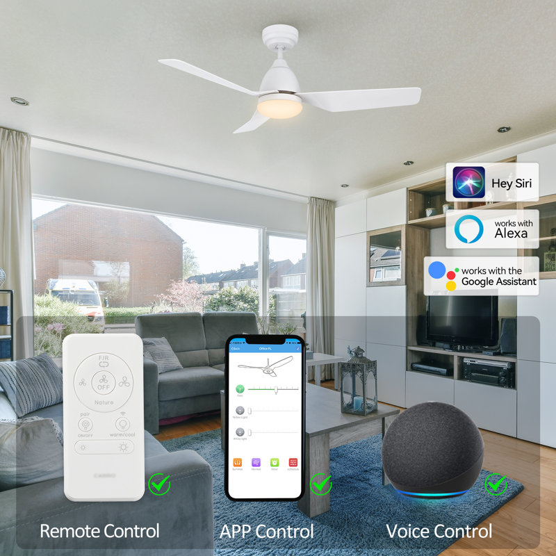 Raenah 44'' Ceiling Fan with LED Lights