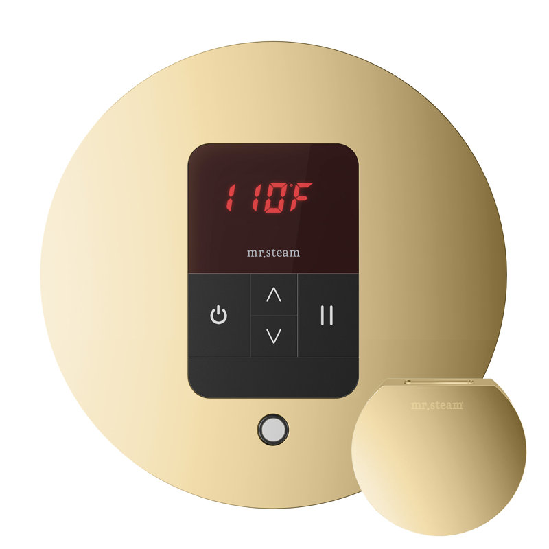 Steam Generator Control, Brown