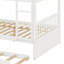 Bunk Bed Including Trundle, Ladder, Guardrails-1797303201