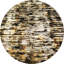 Area Rug in Brown-485629862