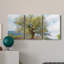 " Olive Tree And Lavender " 3 - Pieces-1609595898