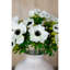 Arrangement