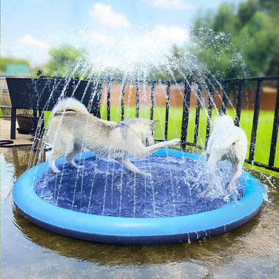 Splash Pad Pool for Kids & Dogs