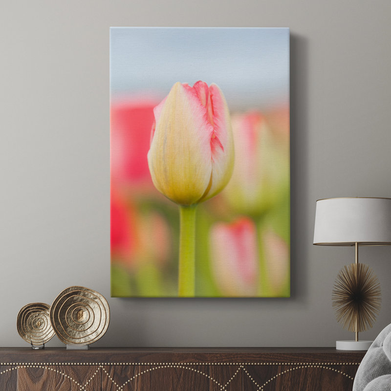 Twotone tulipe - galerie Cavas sur mesure, H 36 po x l 24 po