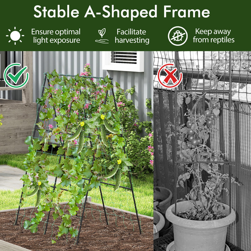 126cm W Metal Arched Trellis
