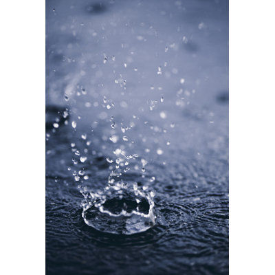 Rain Drops - Wrapped Canvas Print