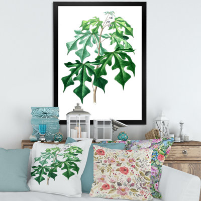Feuilles de plantes II - reproduction d'art sur toile