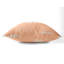 Coussin Stop-107834749-107834748