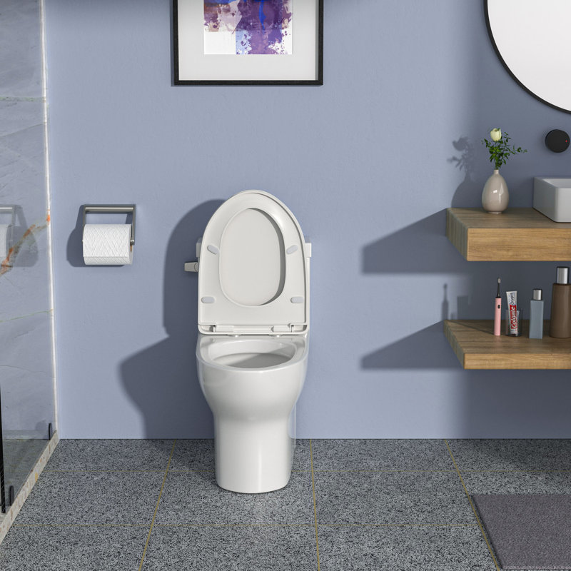 Toilette une pièce Rainlex RX-T28W