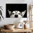 Peeking Siberian Husky-107504624