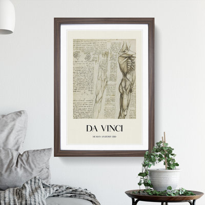 Human Anatomy Vol.6 by Leonardo Da Vinci - Picture Frame Drawing