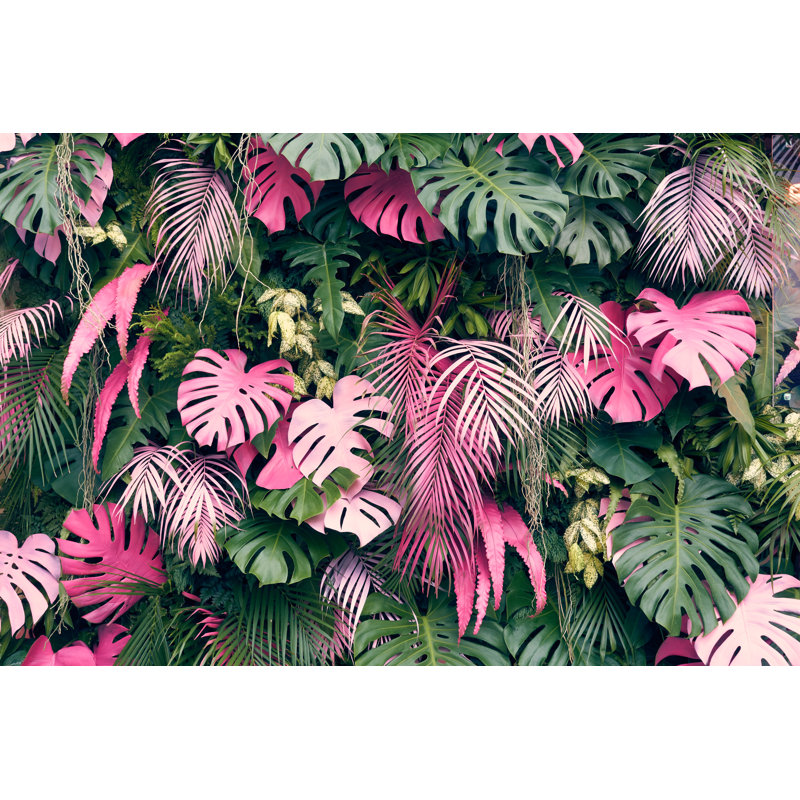 Tropical Trees Arranged In Full Background Or Full Wall There Are Leaves - Wrapped Canvas Print, 51cm H x 76cm W