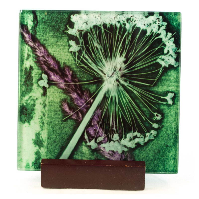 Guynn Glass Square 1 Piece Coaster, Green