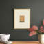 Mid Century Monoprints