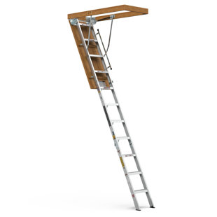 Trendy: Ladder Elastic (Non Roll)