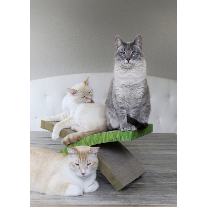 Green Corrugated Cardboard Cat Scratcher Hammock with Catnip