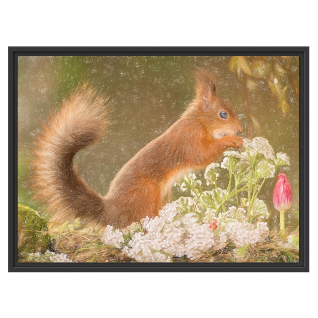 Gerahmtes Poster Gnawing Squirrel und Elch