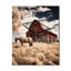Cheval et basse-cour - Harmony-99629281